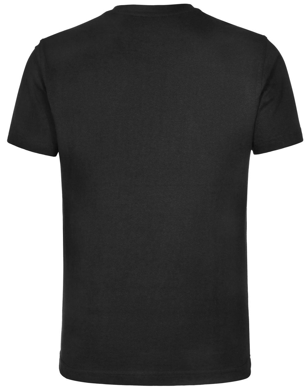 Winning Spirit- TS20 Budget Unisex Tee Shirt