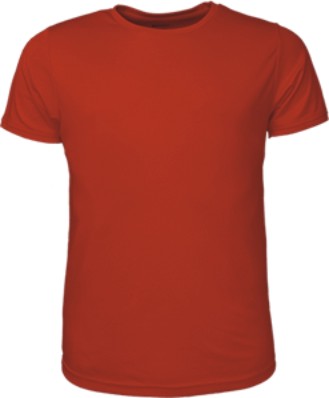 Bocini-Kids Brushed Tee Shirt-CT1424