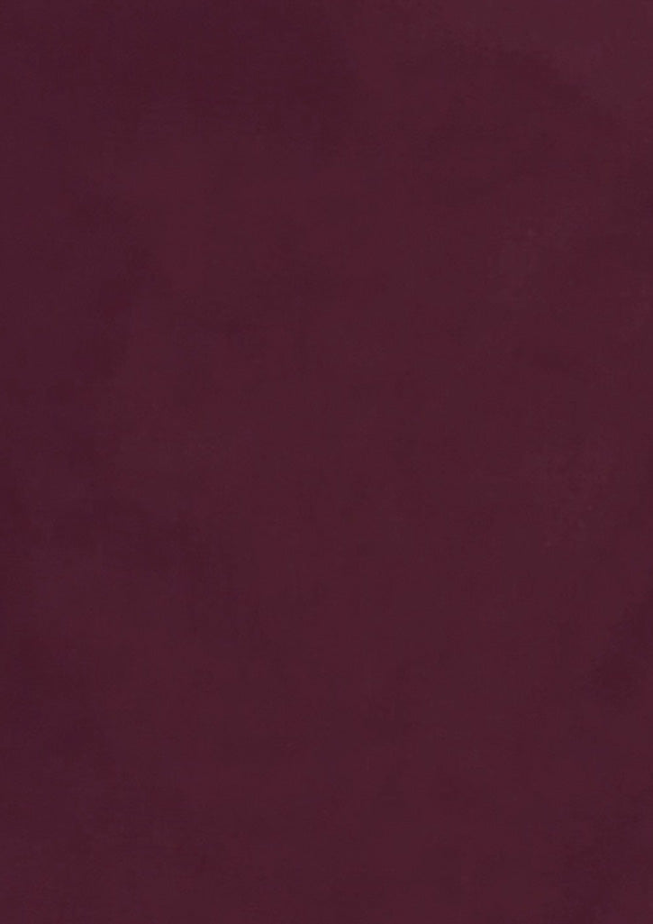 Biz Corporates Womens Hudson Long Sleeve Shirt 40310