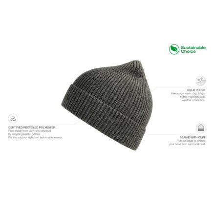 SANDHURST_ Atlantis - A4520 Andy Recycled Beanie/NAVY With logo